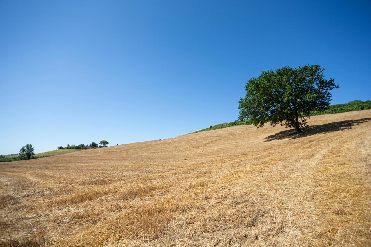 Agriturismo Cappellese Castelnuovo della Misericordia Kültér fotó