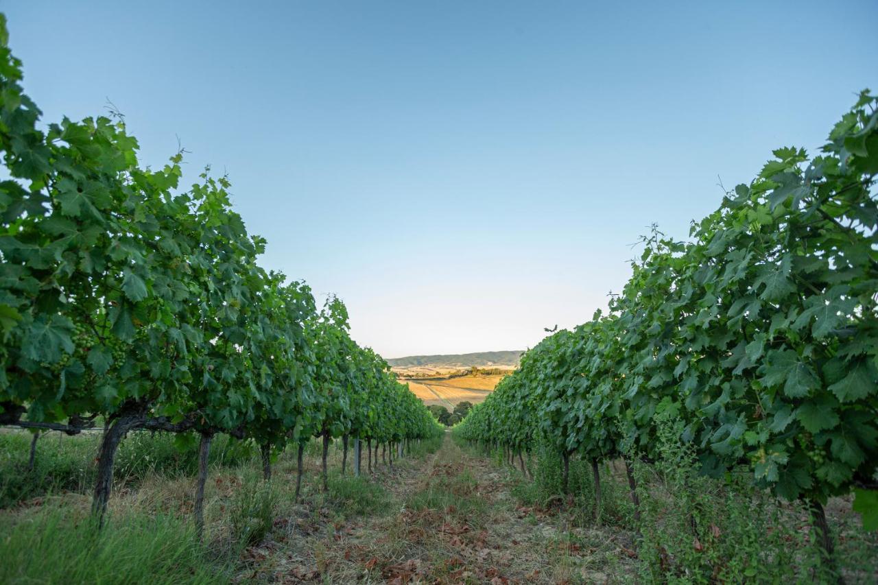 Agriturismo Cappellese Castelnuovo della Misericordia Kültér fotó