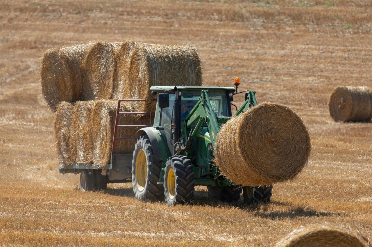 Agriturismo Cappellese Castelnuovo della Misericordia Kültér fotó