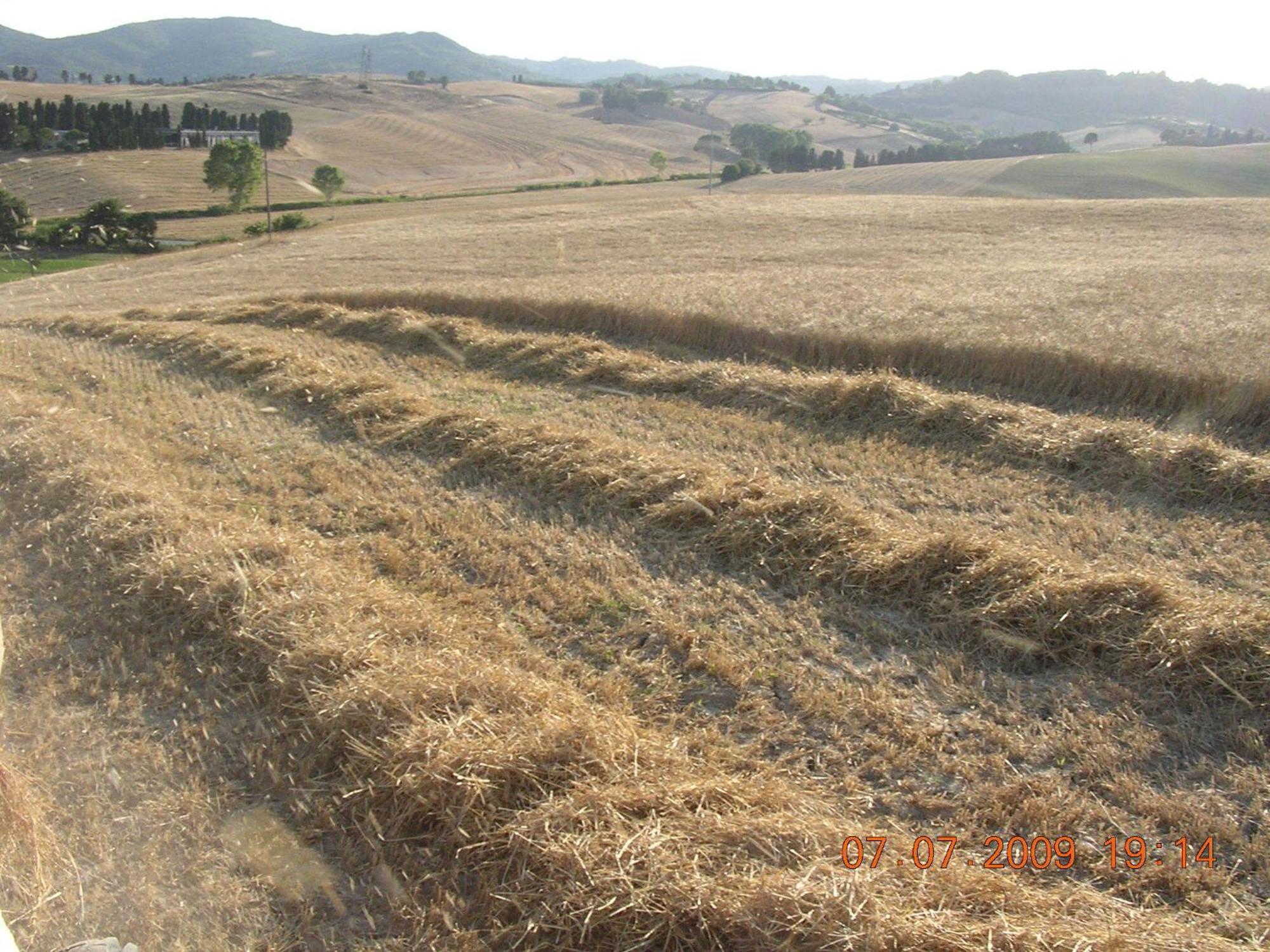 Agriturismo Cappellese Castelnuovo della Misericordia Kültér fotó